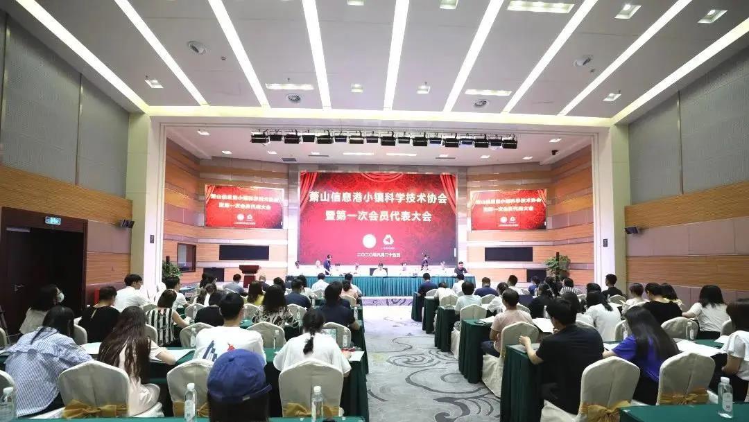 凝聚科技力量、打破西方壟斷：杭州灣信息港科學(xué)技術(shù)協(xié)會(huì )正式成立