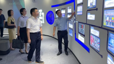 嘉興市政府副市長(cháng)倪滬平一行蒞臨健培科技考察調研