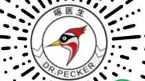AI筑基生命健康，啄醫生臻心伴您前行——烏鎮智能醫院健康產(chǎn)品隆重推出